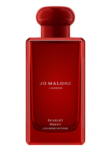 Generic Perfumes | Premium Perfume Oils – Inspired by Designer